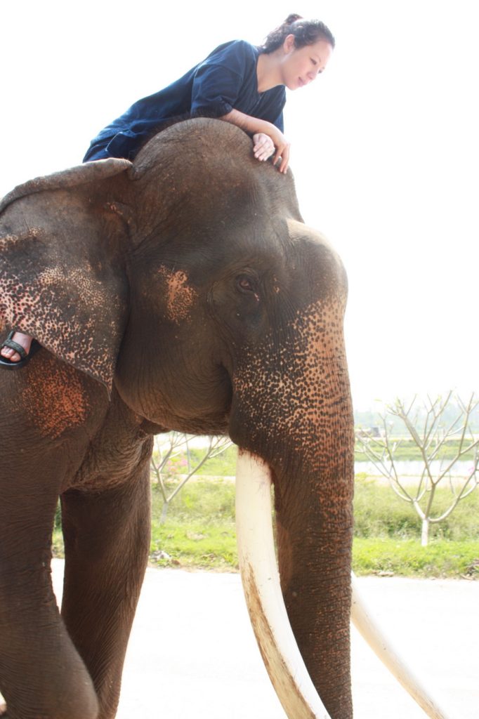 Shamanic healing with elephant power animal with Amyra Mah
