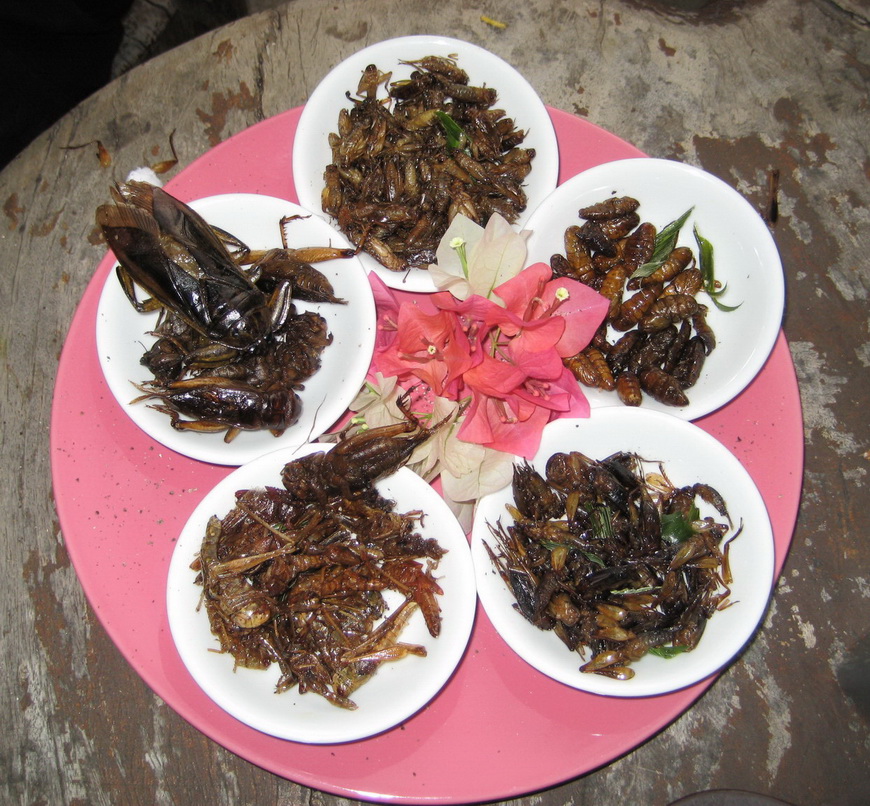 A Variety of Deep-Fried Insects Served on Plates