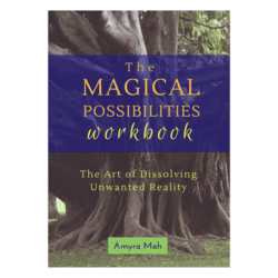 the magical possibilities workbook by amyra mah