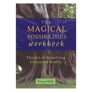 Magical Possibilities Book + Workbook