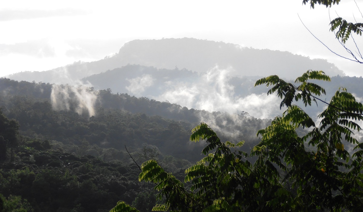 Misty Mountains in Mae Rim, Chiang Mai, Thailand