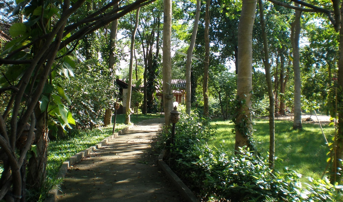Lush surroundings in the grounds of a rehab in Thailand