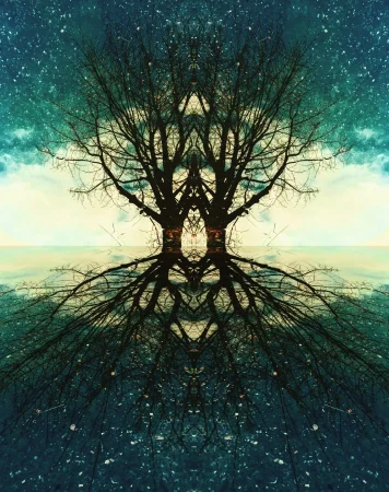 11