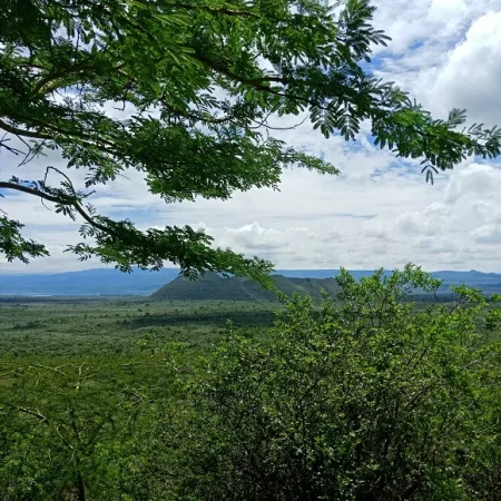 acacia trees against backdrop of grand pinnacle in soysambu conservancy
