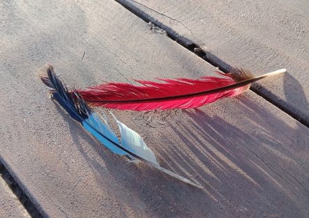 Testimonials. Two feathers symbolising sacred work by M Y R A S